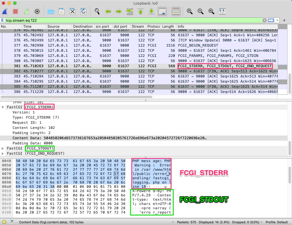 FastGGI record types and flow, wireshark